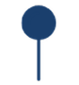 pin icon